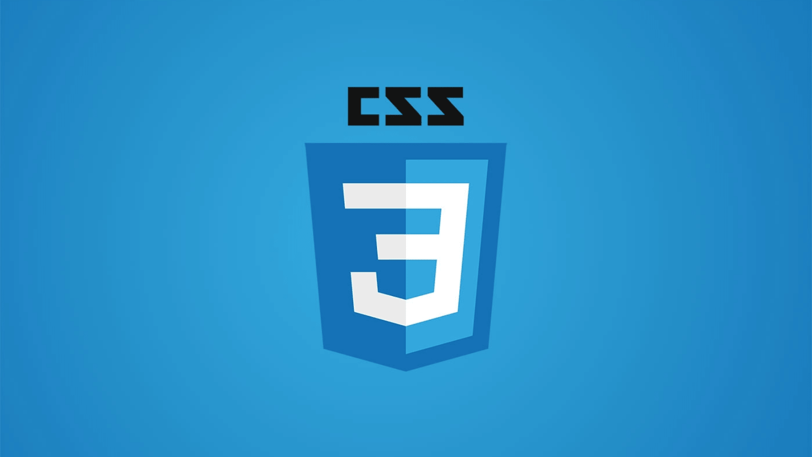 زبانه نشانه گذاری CSS