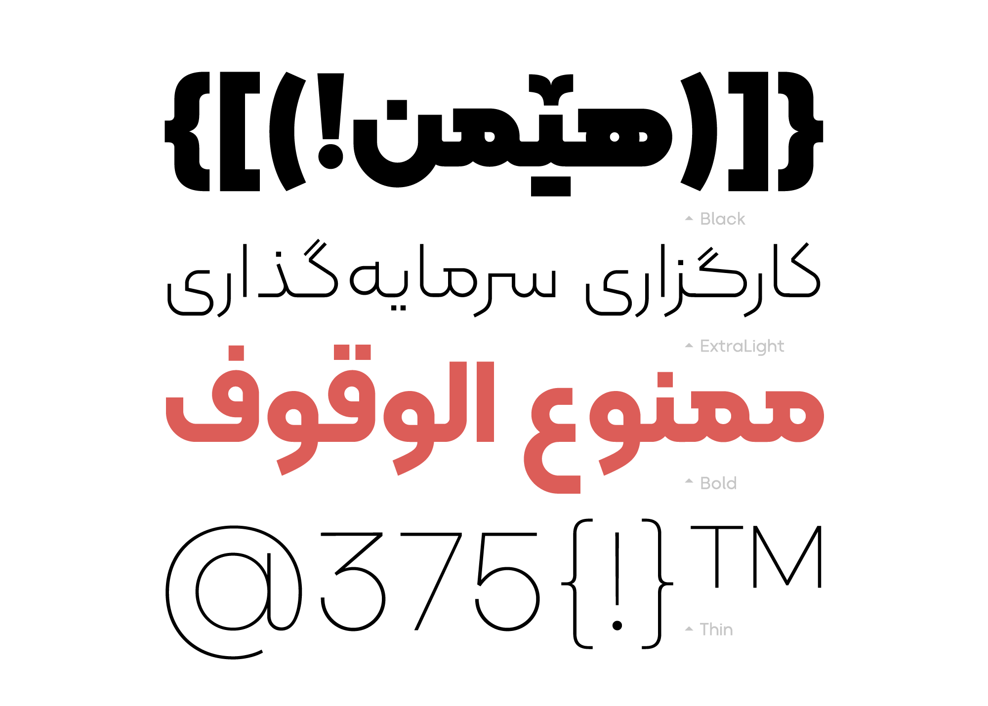 دانلود رایگان فونت کلمه