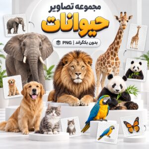 مجموعه تصاویر حیوانات | بدون بکگراند |‌ PNG