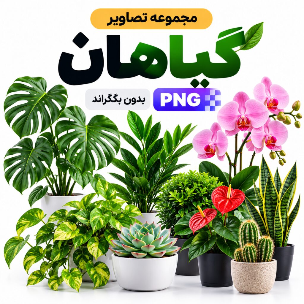 مجموعه تصاویر گیاهان | بدون بکگراند |‌ PNG