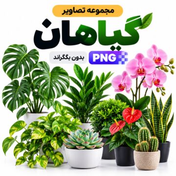 مجموعه تصاویر گیاهان | بدون بکگراند |‌ PNG