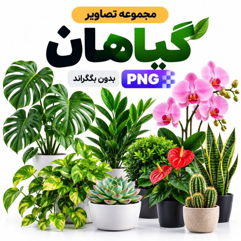 مجموعه تصاویر گیاهان | بدون بکگراند |‌ PNG